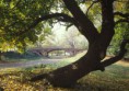 /album/fotos-new-york/central-park-new-york-city-jpg/